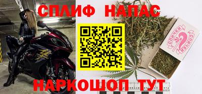 спайс Гагарин