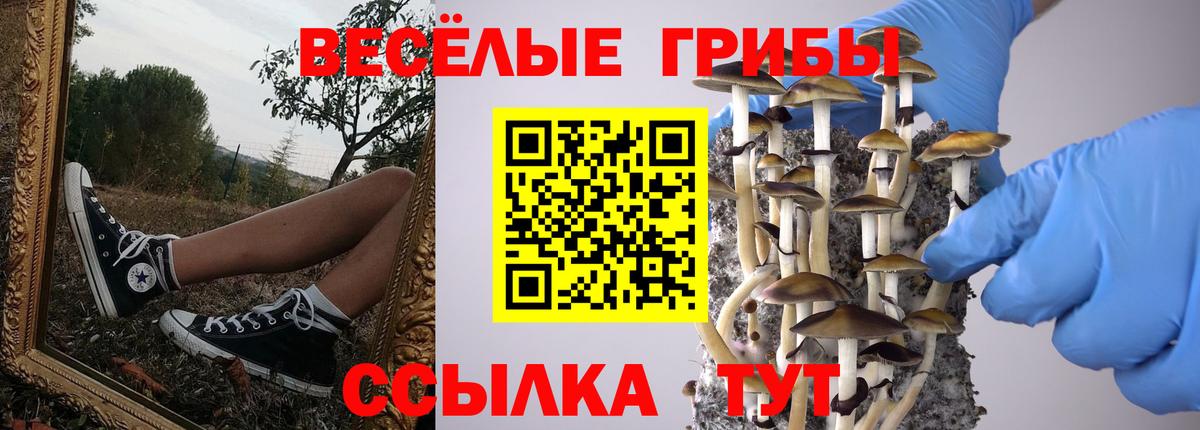 Галлюциногенные грибы MAGIC MUSHROOMS Унеча